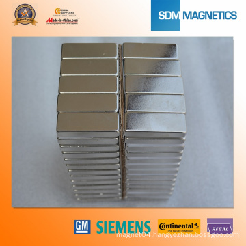 10 Years Experienced Permanent Neodymium Car  Magnet